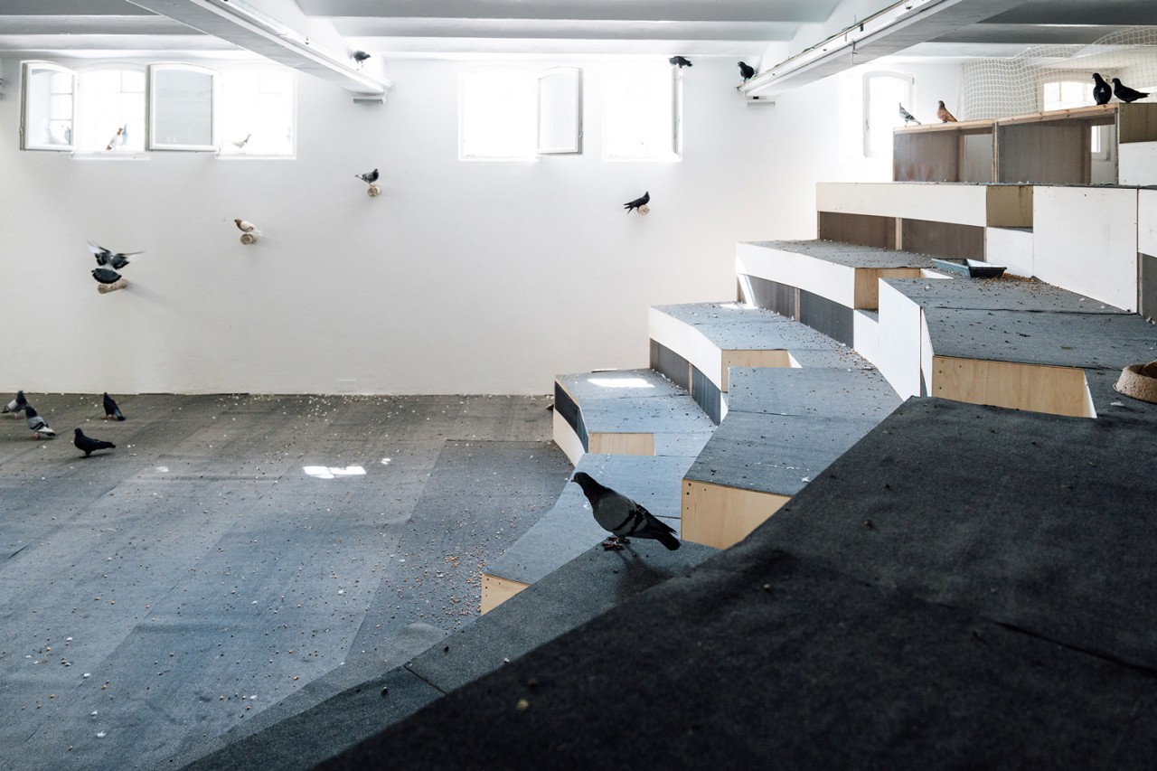 Nephelo­kokkygia (Wolken­kuckucks­heim), 2022