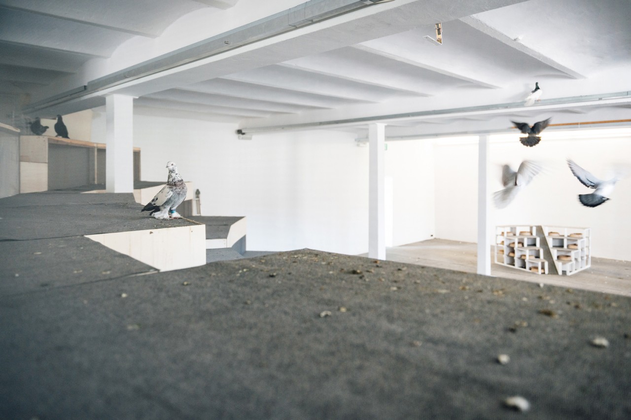 Nephelo­kokkygia (Wolken­kuckucks­heim), 2022