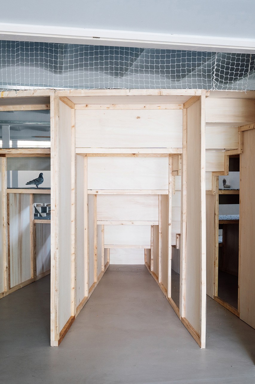 Nephelo­kokkygia (Wolken­kuckucks­heim), 2022